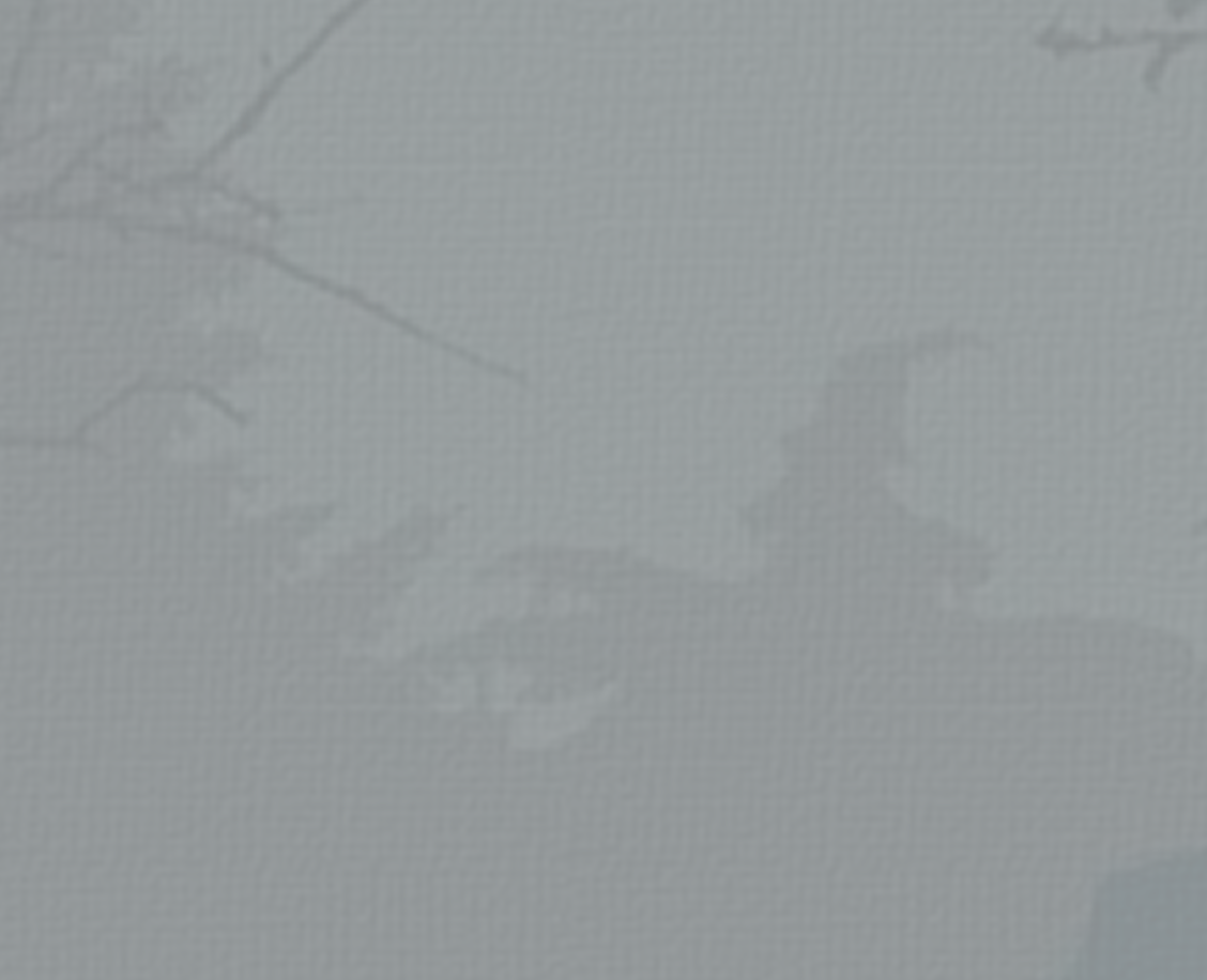 Fondo - Causas Ingresadas