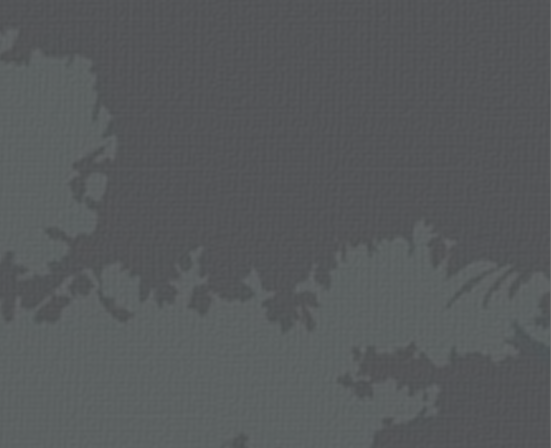 Fondo - Causas Terminadas