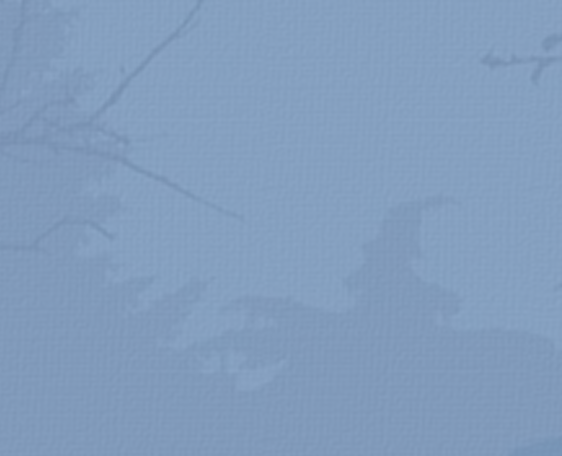 Fondo - Solicitudes y Consultas de la SMA