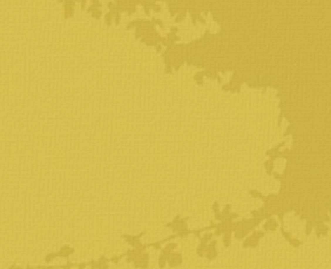 Fondo - Otras Resoluciones de Término