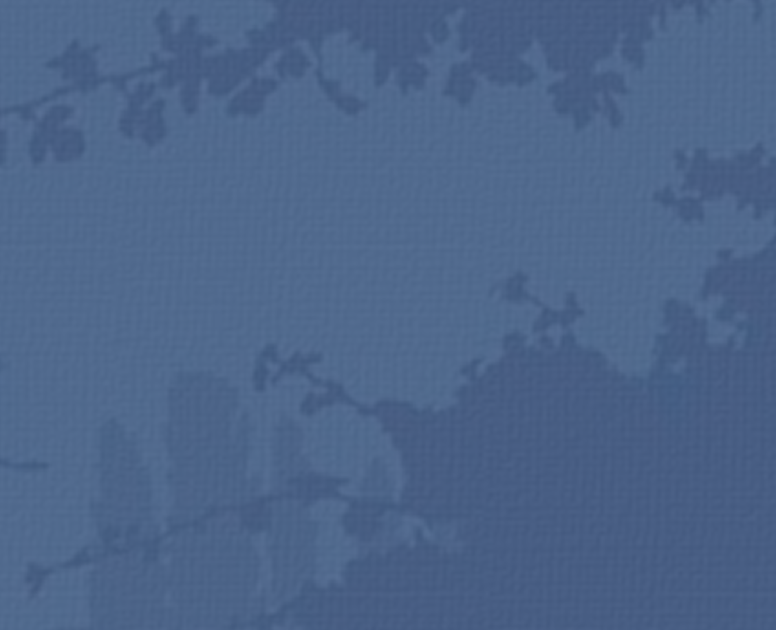 Fondo - Tipo de Intervinientes