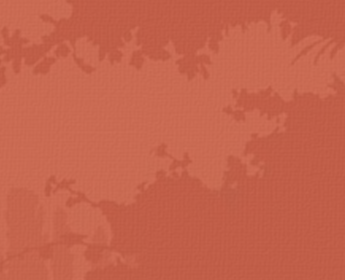 Fondo - Actividades Económicas