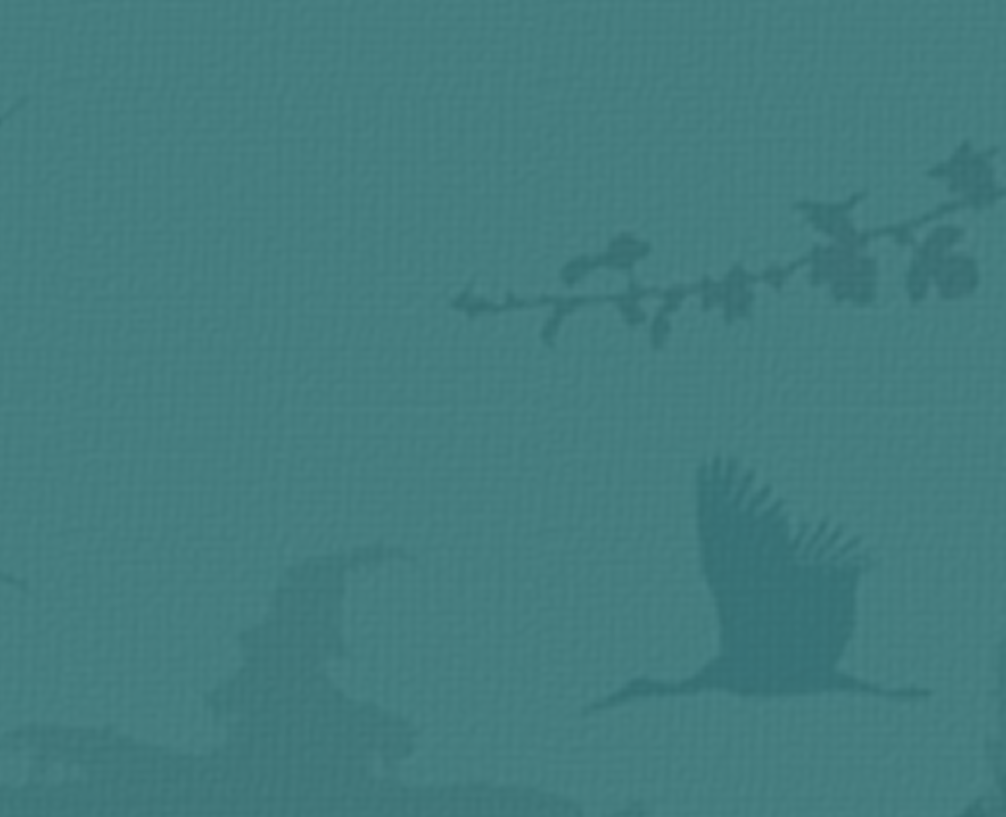 Fondo - Componente Ambiental