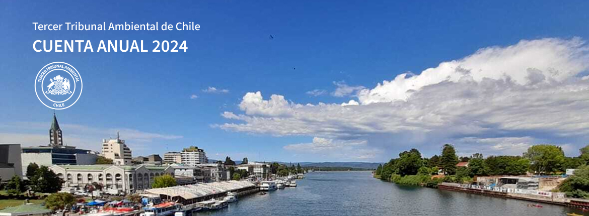 Anuncio Cuenta Pública