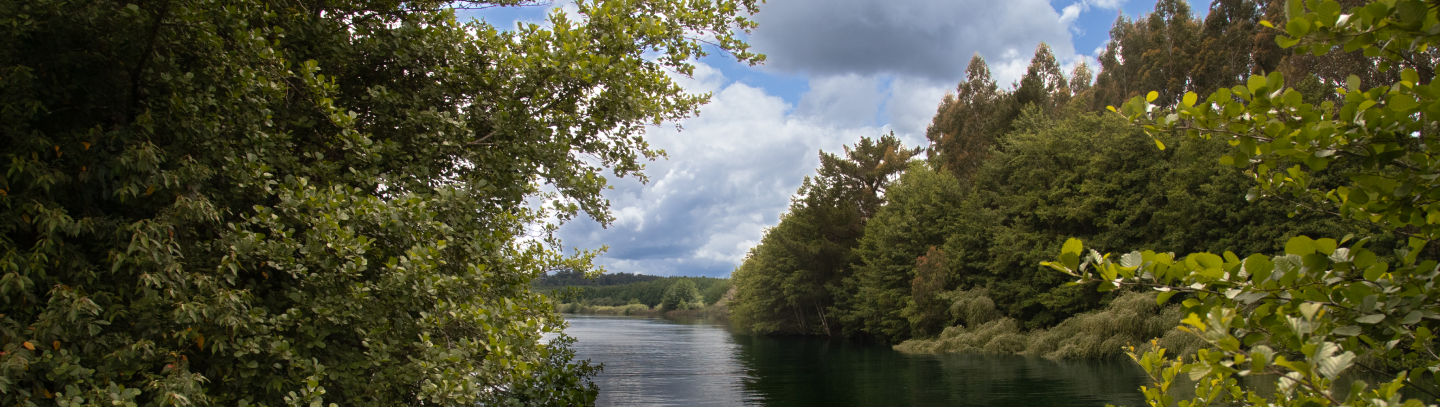 Slide 2 - Tercer Tribunal Ambiental de Chile