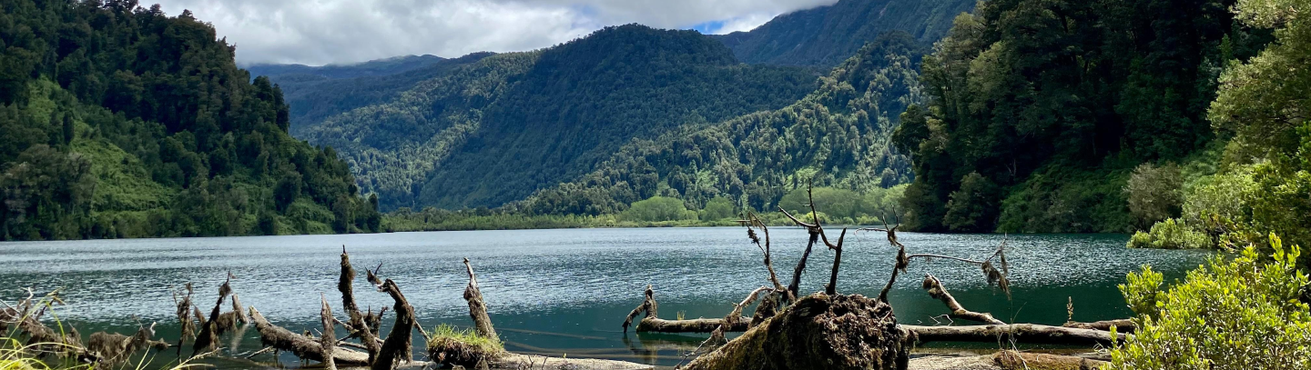 Slide 5 - Tercer Tribunal Ambiental de Chile