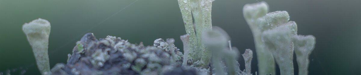 3TA en Cifras - Imagen de Fondo